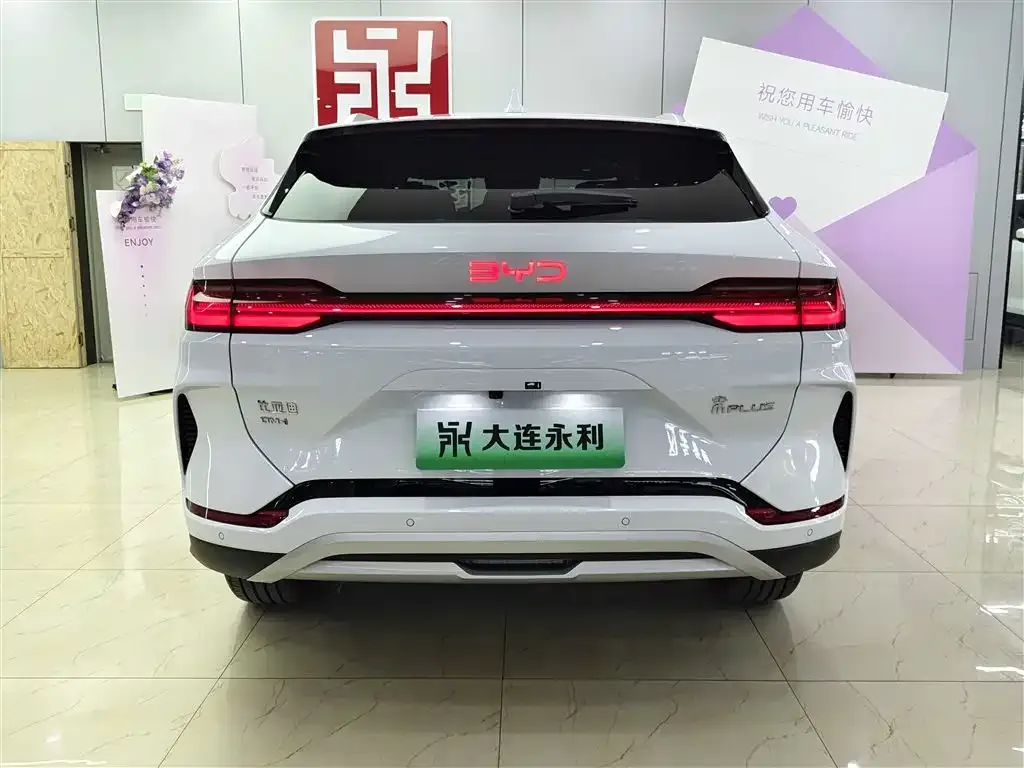 BYD PLUS New Energy 2025 из CN, фото 5