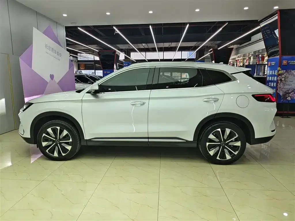 BYD PLUS New Energy 2025 из CN, фото 6