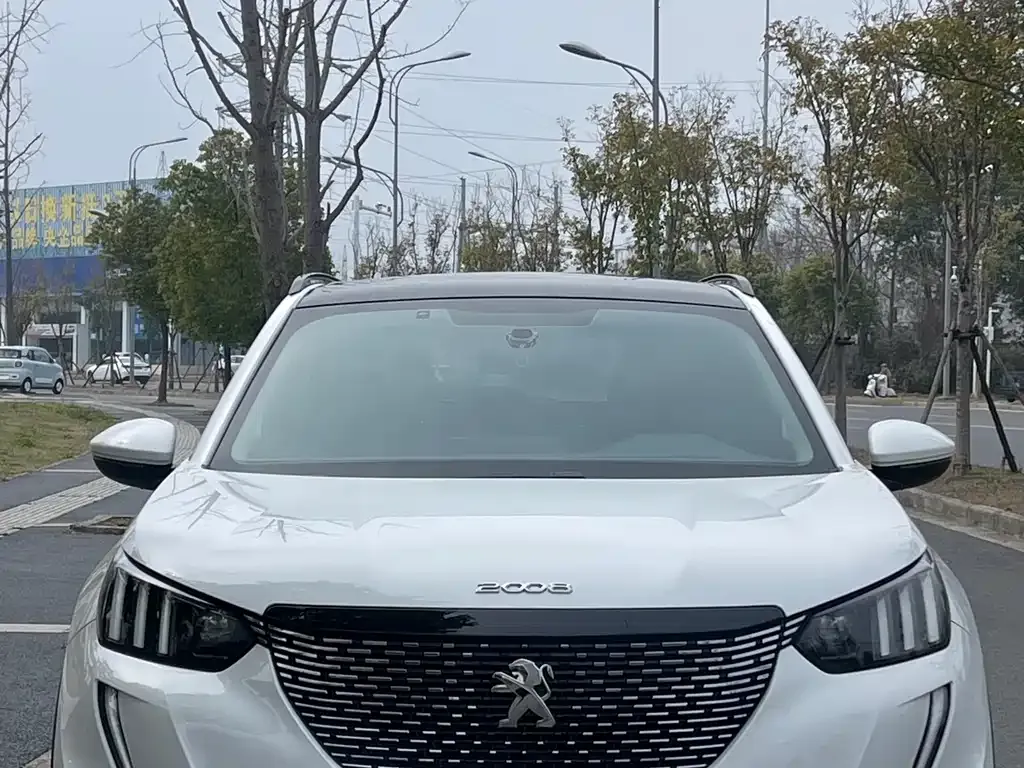 Peugeot 2008 2021 из CN, фото 7
