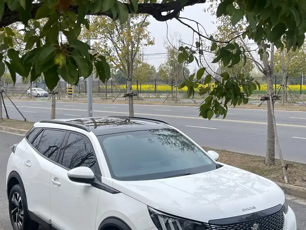Peugeot 2008 2021 из CN, фото 9