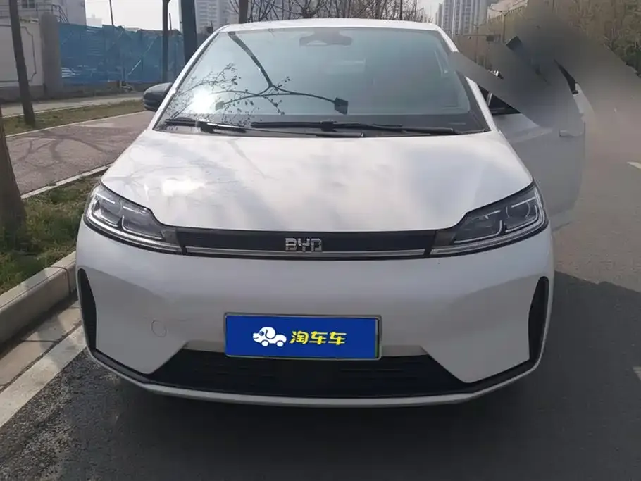 BYD D1 2023 из CN, фото 4