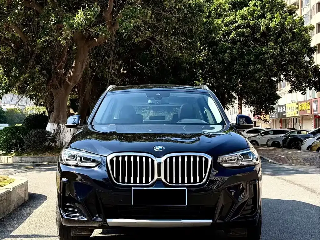 BMW X3 2023 из CN, фото 9