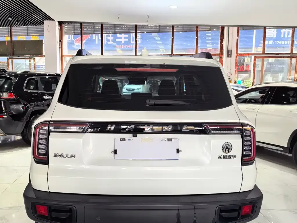 Haval Big Dog 2021 из CN, фото 7