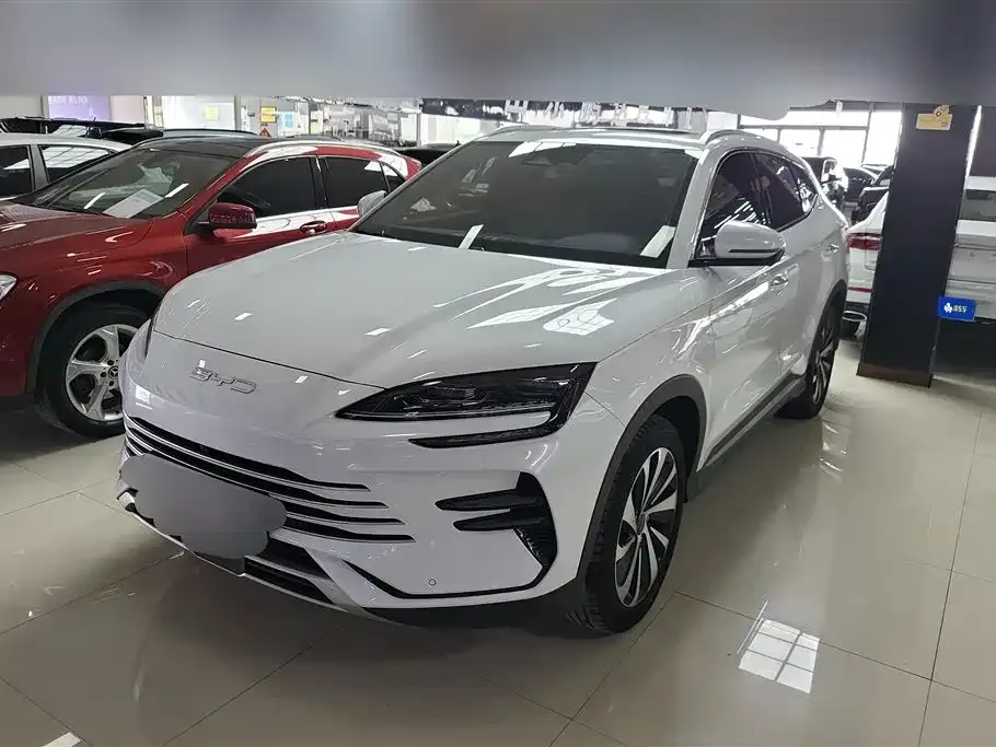 BYD PLUS New Energy — фото 1