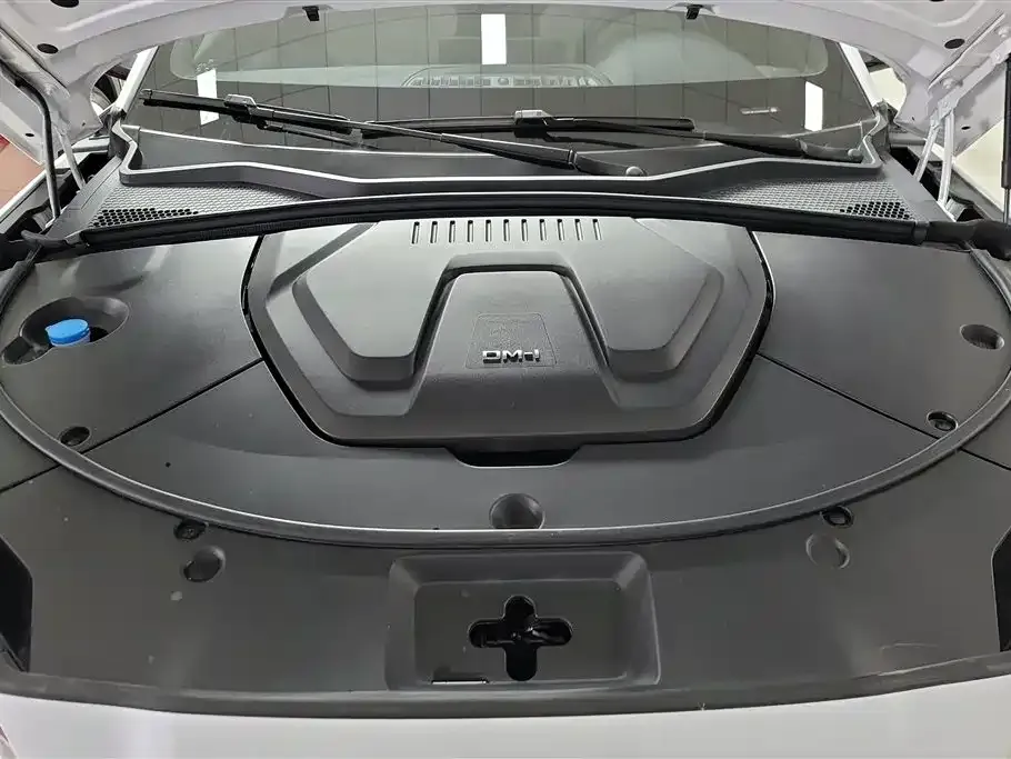 BYD PLUS New Energy — фото 6