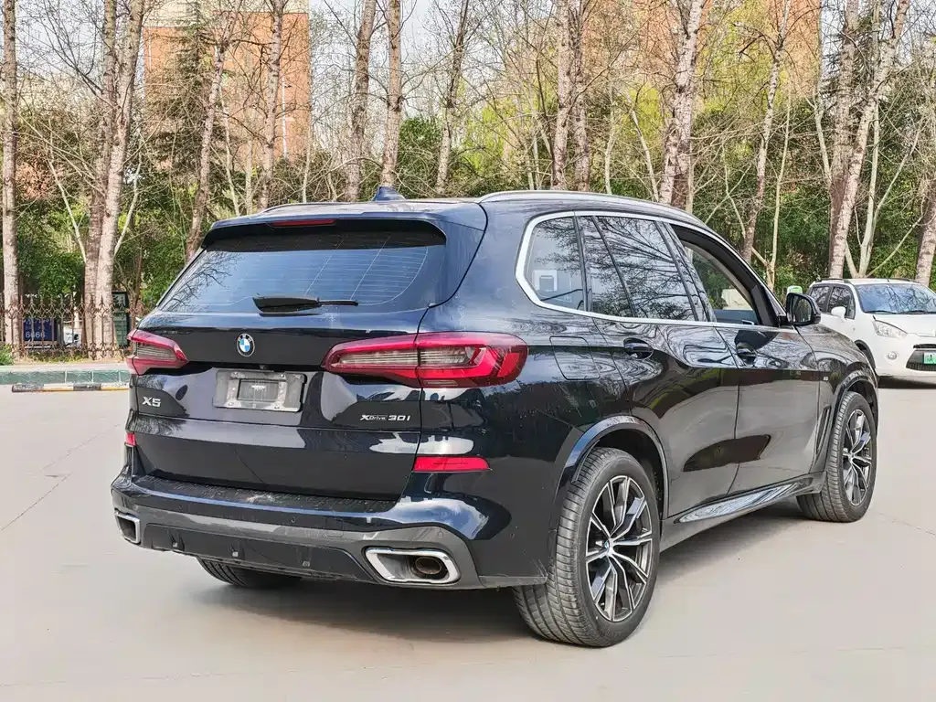 BMW X5 (Import) — фото 6