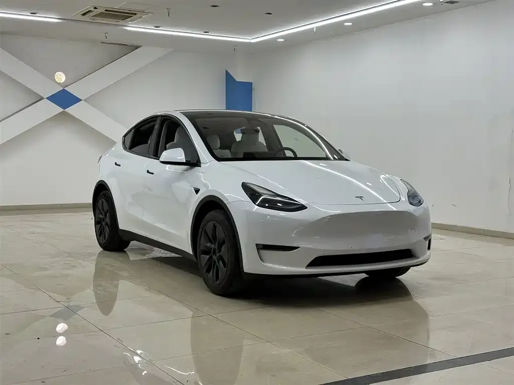 Tesla Model Y — фото 5