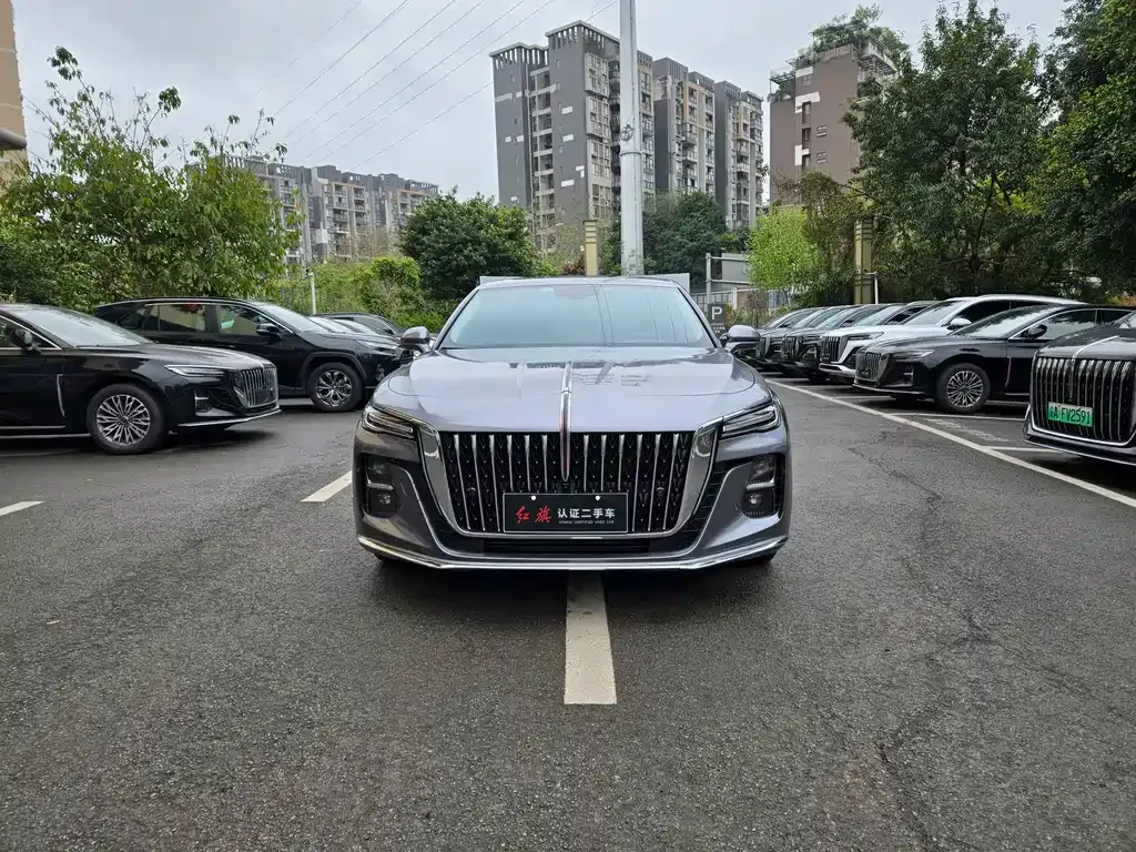 Hongqi H5 2024 из CN, фото 10