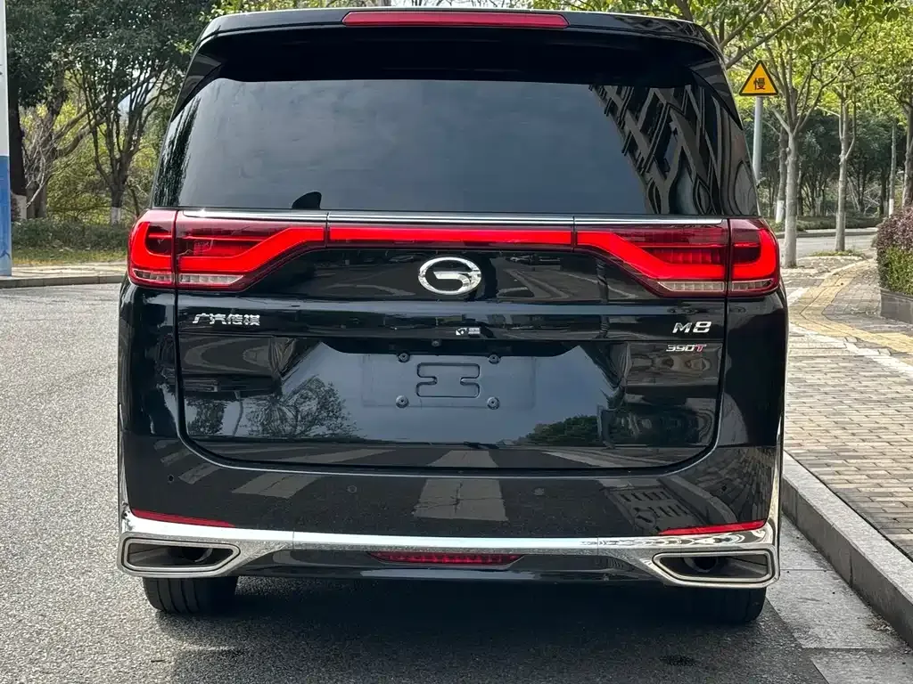 GAC Motor Trumpchi M8 2022 из CN, фото 3