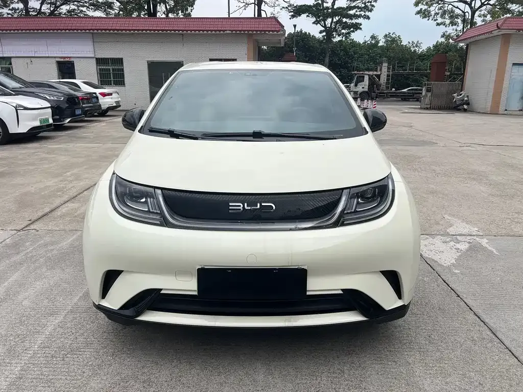 BYD Dolphin 2025 из CN, фото 10