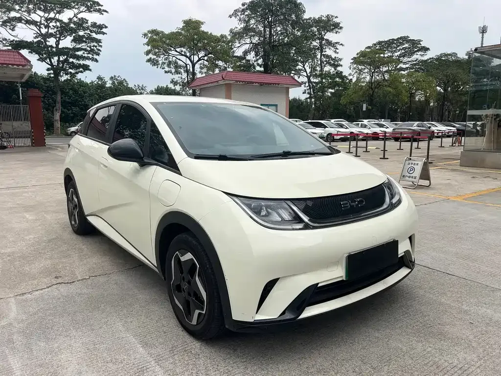 BYD Dolphin 2025 из CN, фото 5