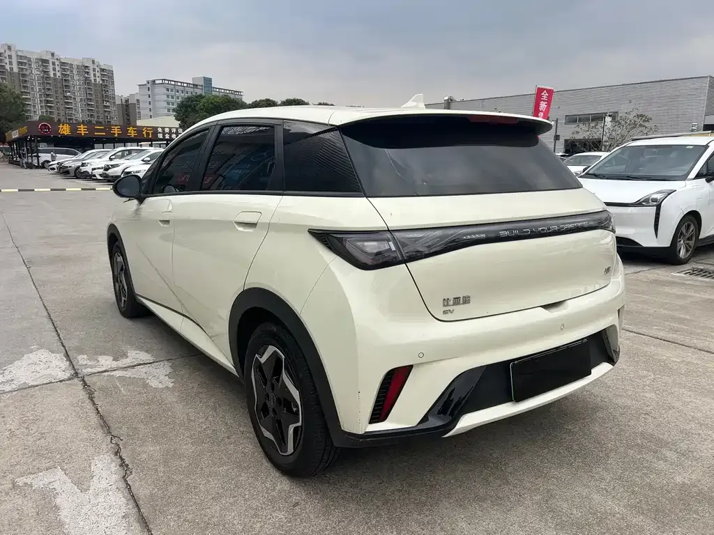 BYD Dolphin 2025 из CN, фото 3