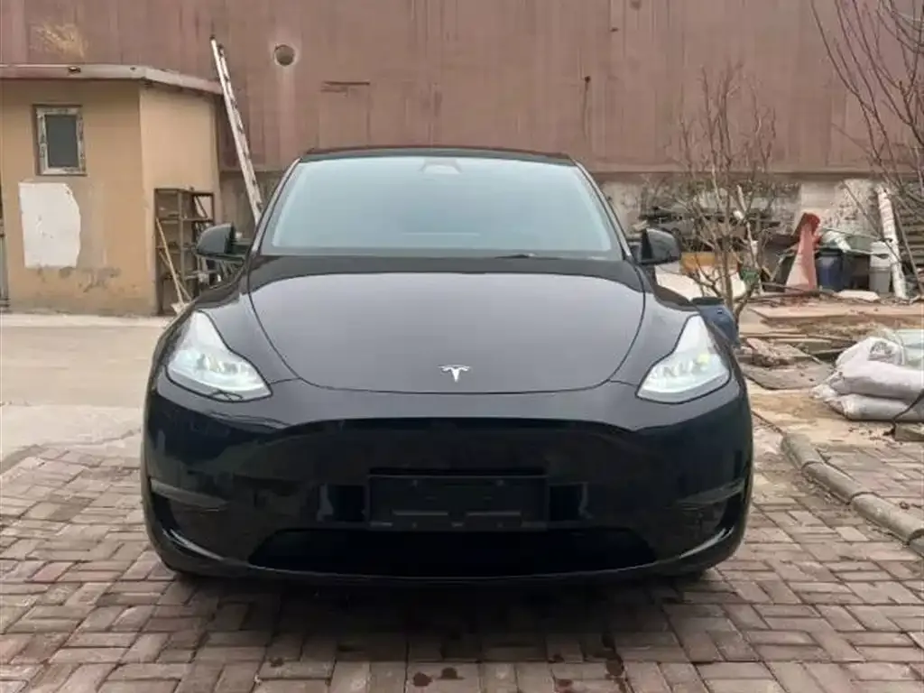 Tesla Model Y — фото 9
