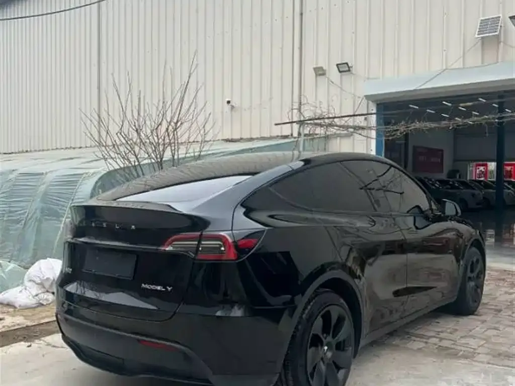 Tesla Model Y — фото 5