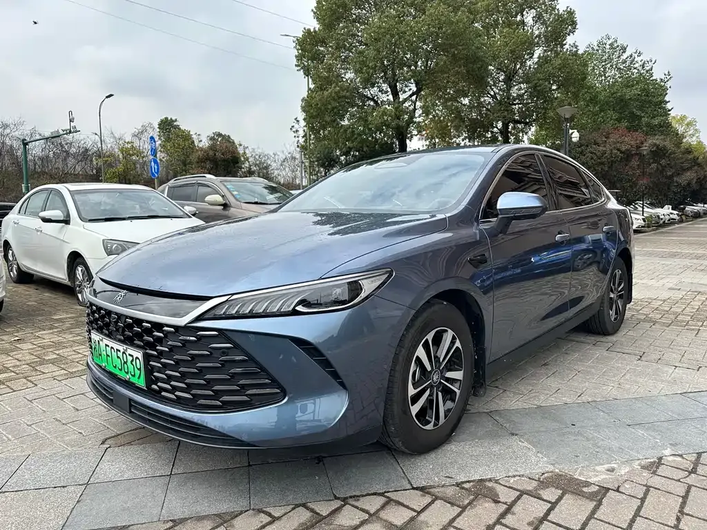 BYD Qin PLUS — фото 1