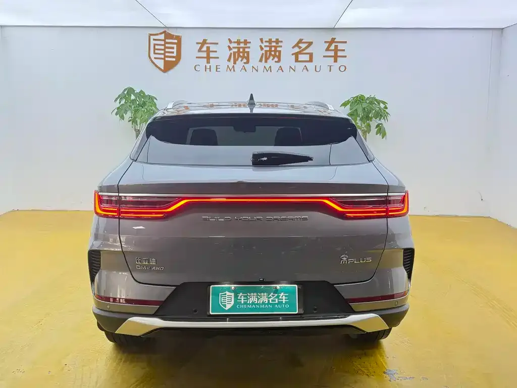 BYD PLUS New Energy — фото 4