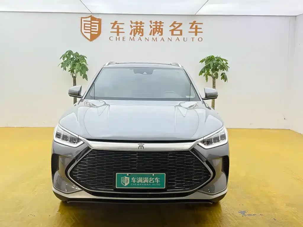 BYD PLUS New Energy — фото 3