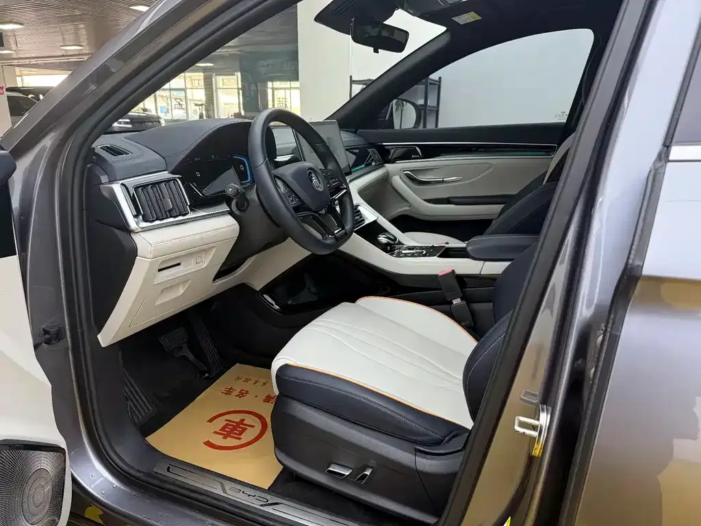 BYD PLUS New Energy — фото 10