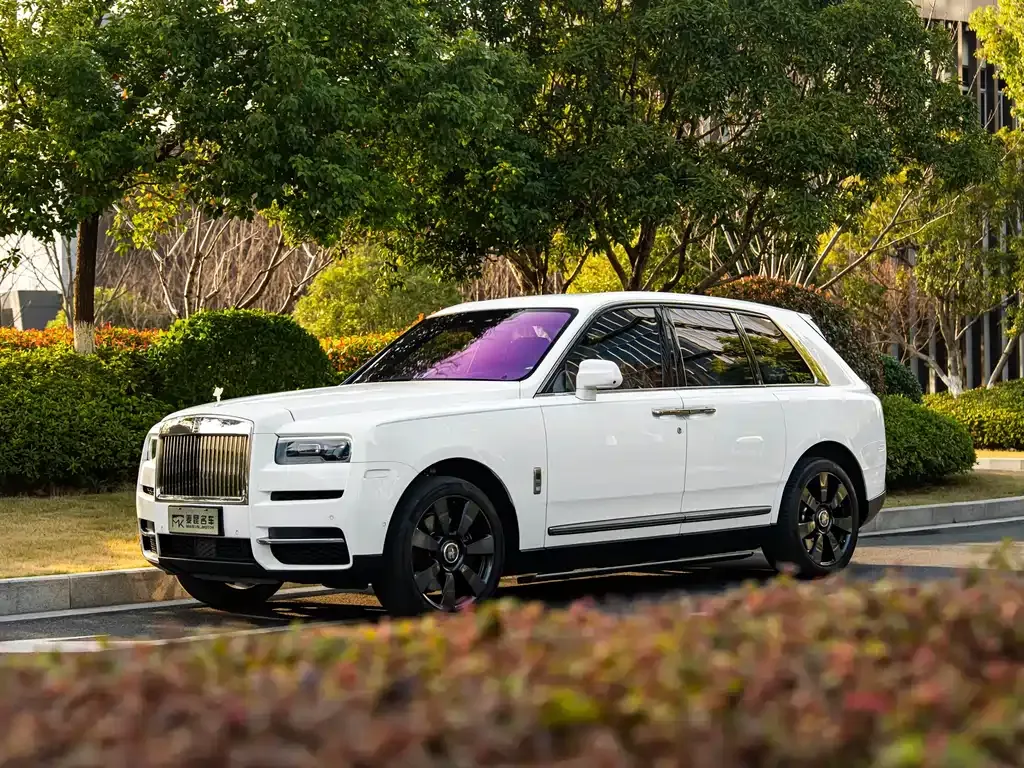 Rolls-Royce Cullinan 2021 из CN, фото 8
