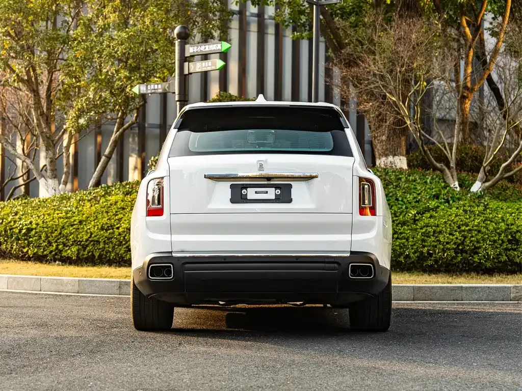 Rolls-Royce Cullinan 2021 из CN, фото 7