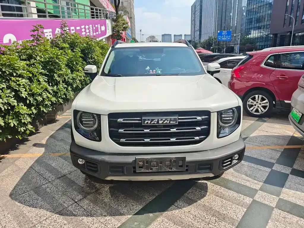 Haval Big Dog 2021 из CN, фото 9