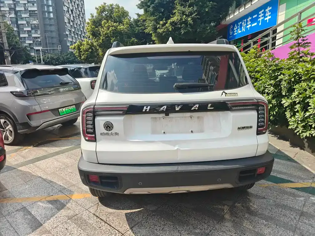 Haval Big Dog 2021 из CN, фото 6
