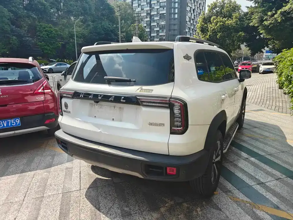 Haval Big Dog 2021 из CN, фото 8