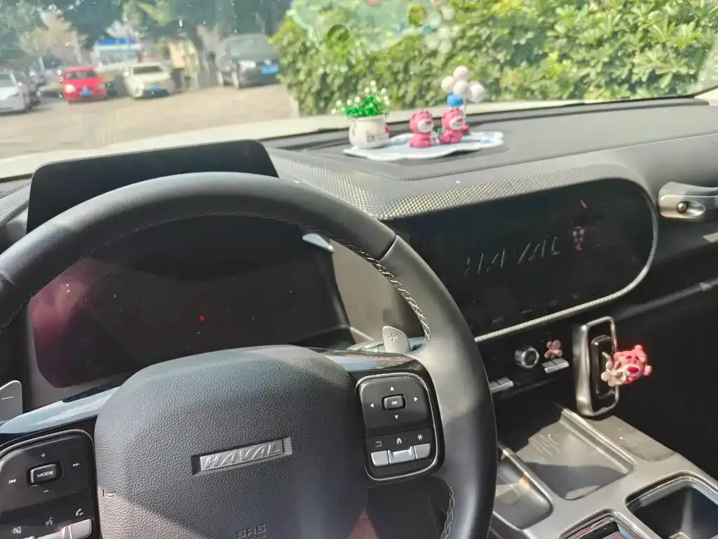 Haval Big Dog 2021 из CN, фото 4