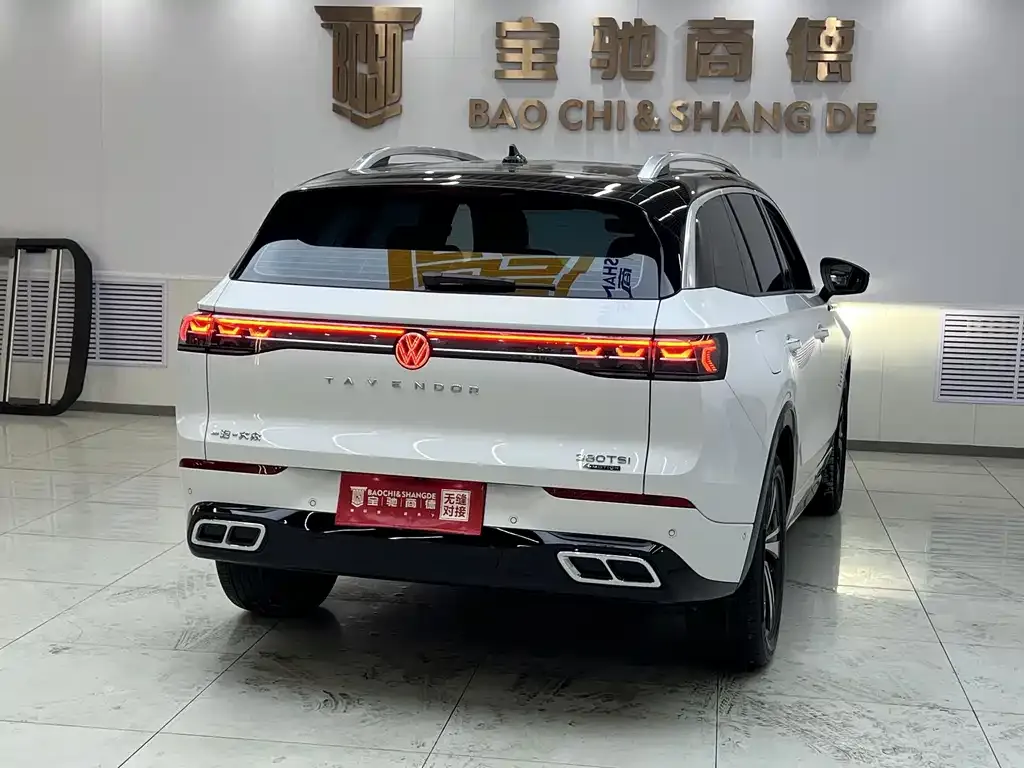 Volkswagen Tavendor 2024 из CN, фото 3
