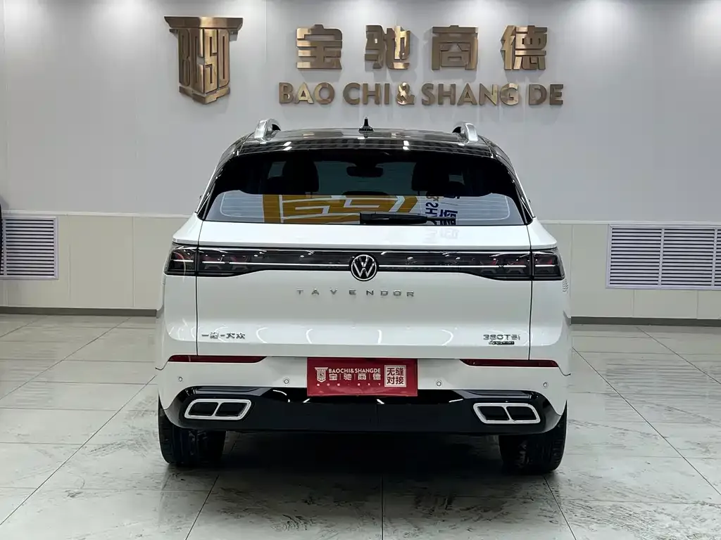 Volkswagen Tavendor 2024 из CN, фото 5