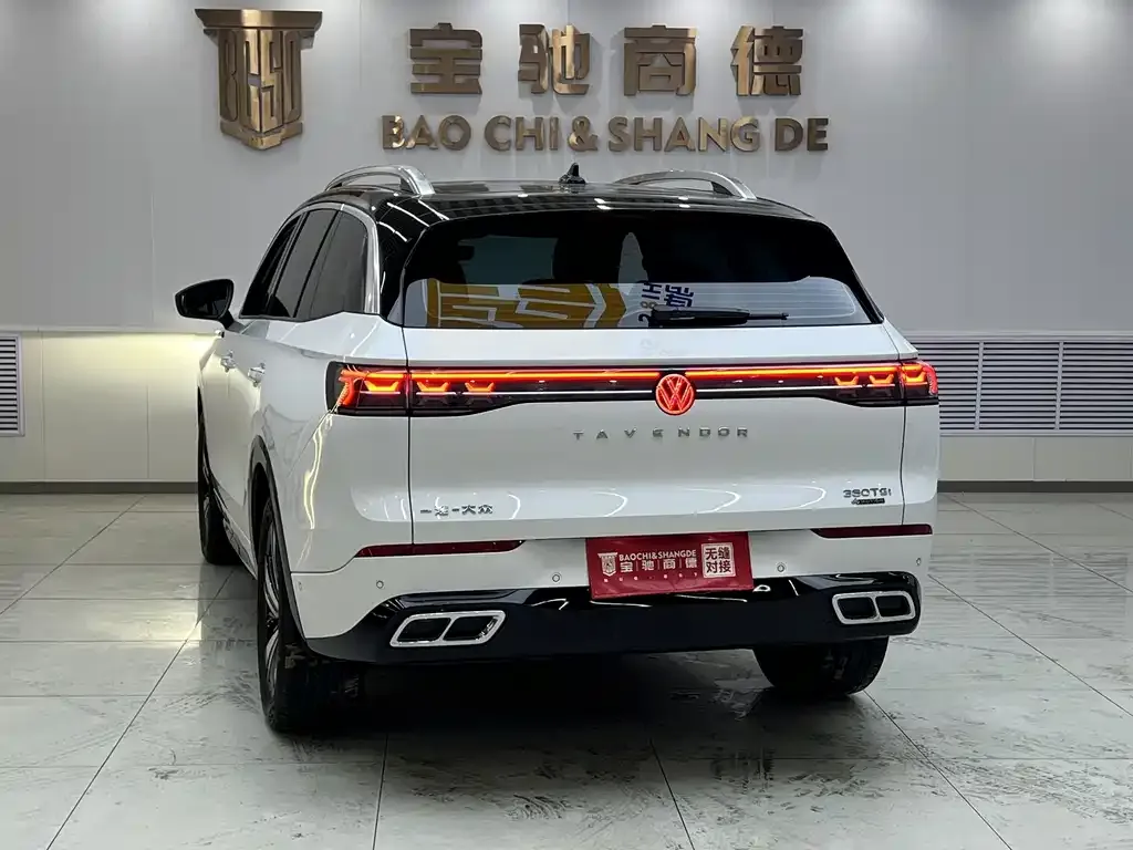 Volkswagen Tavendor 2024 из CN, фото 2
