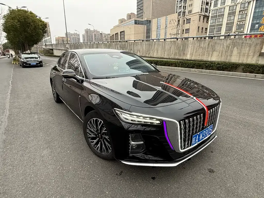 Hongqi H5 2024 из CN, фото 10