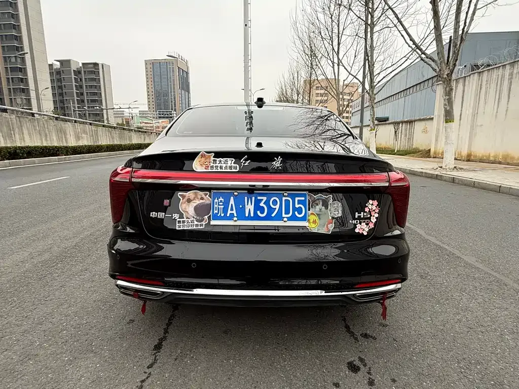 Hongqi H5 2024 из CN, фото 6