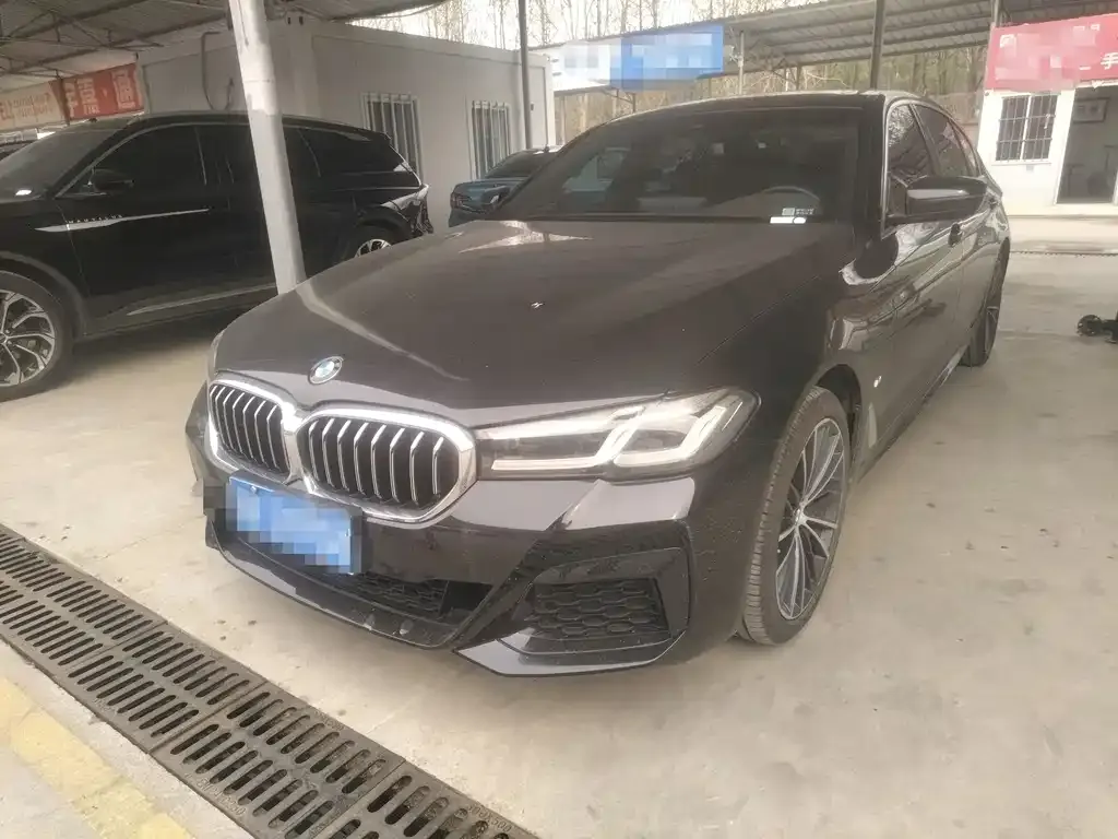 BMW 5 Series 2022 из CN, фото 1
