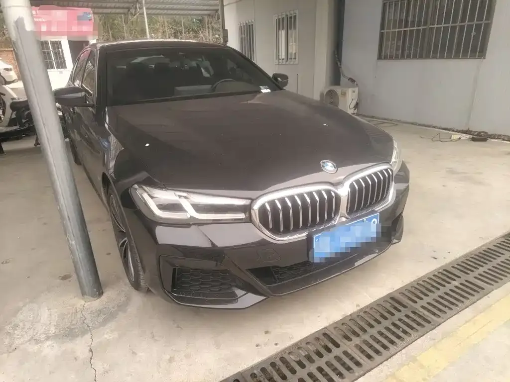 BMW 5 Series 2022 из CN, фото 4