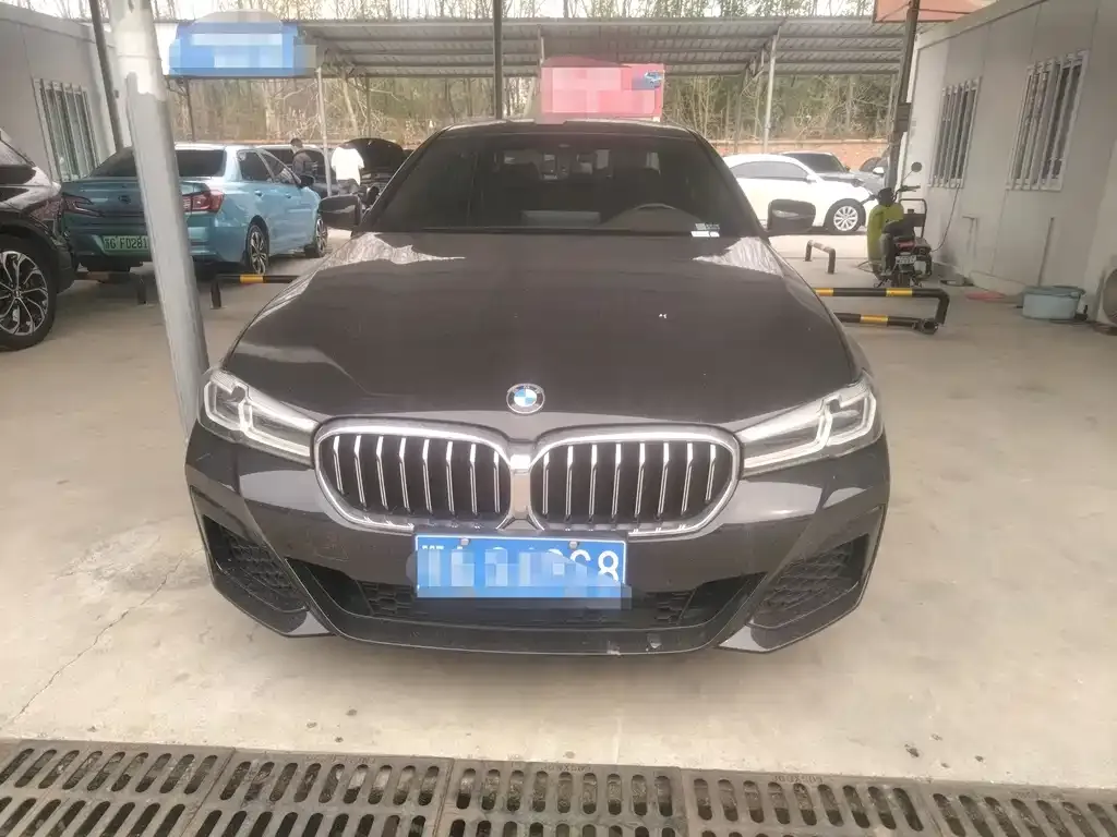 BMW 5 Series 2022 из CN, фото 8