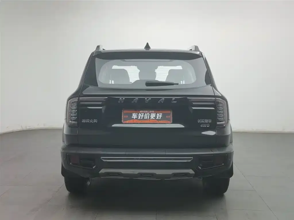 Haval Big Dog 2022 из CN, фото 7