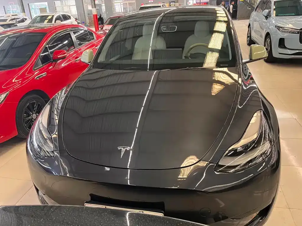 Tesla Model Y — фото 3