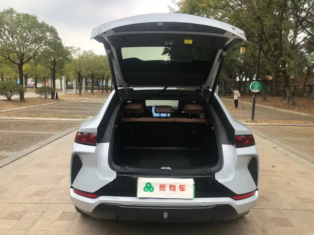 BYD L EV 2024 из CN, фото 8