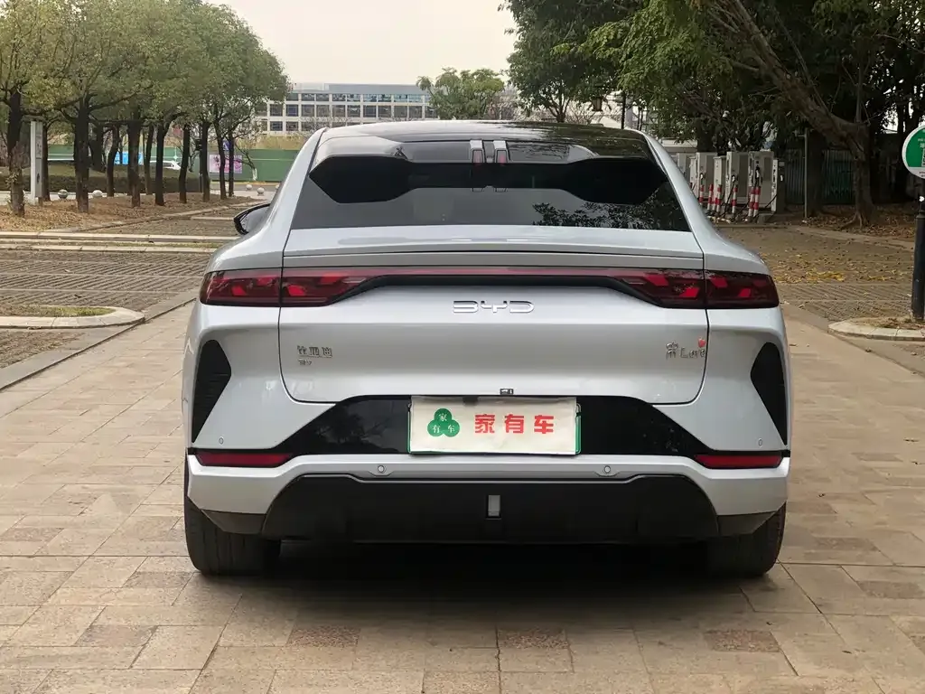 BYD L EV 2024 из CN, фото 7