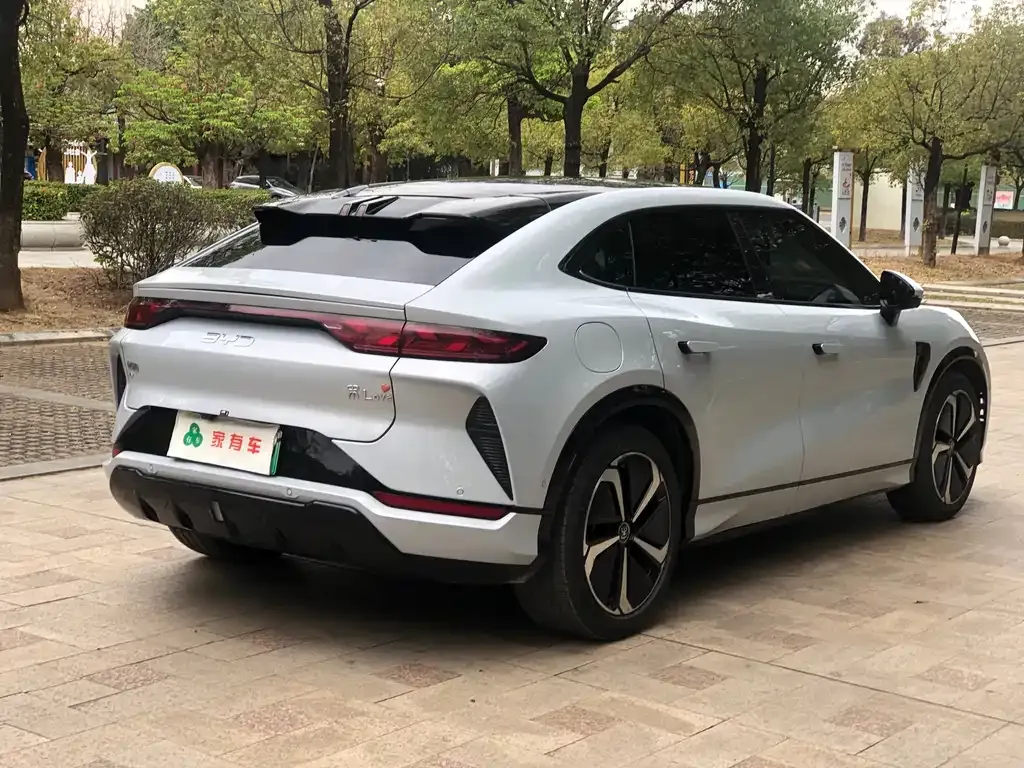 BYD L EV 2024 из CN, фото 9