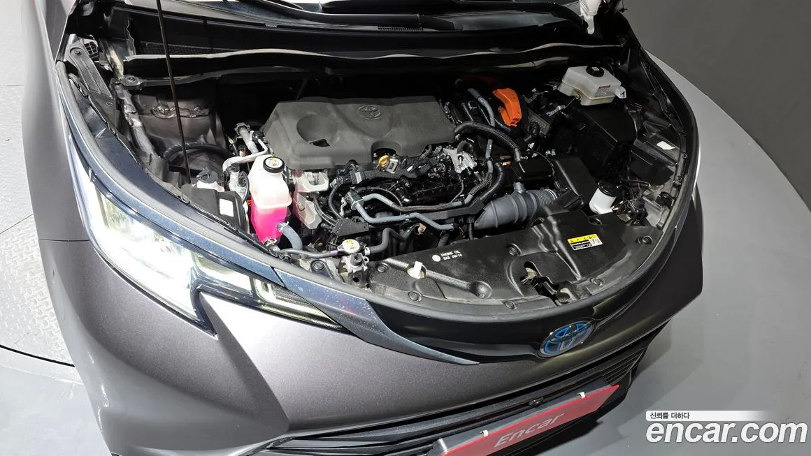 Toyota Sienna 2023 из KR, фото 3