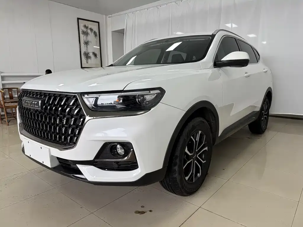 Haval H6 2023 из CN, фото 5