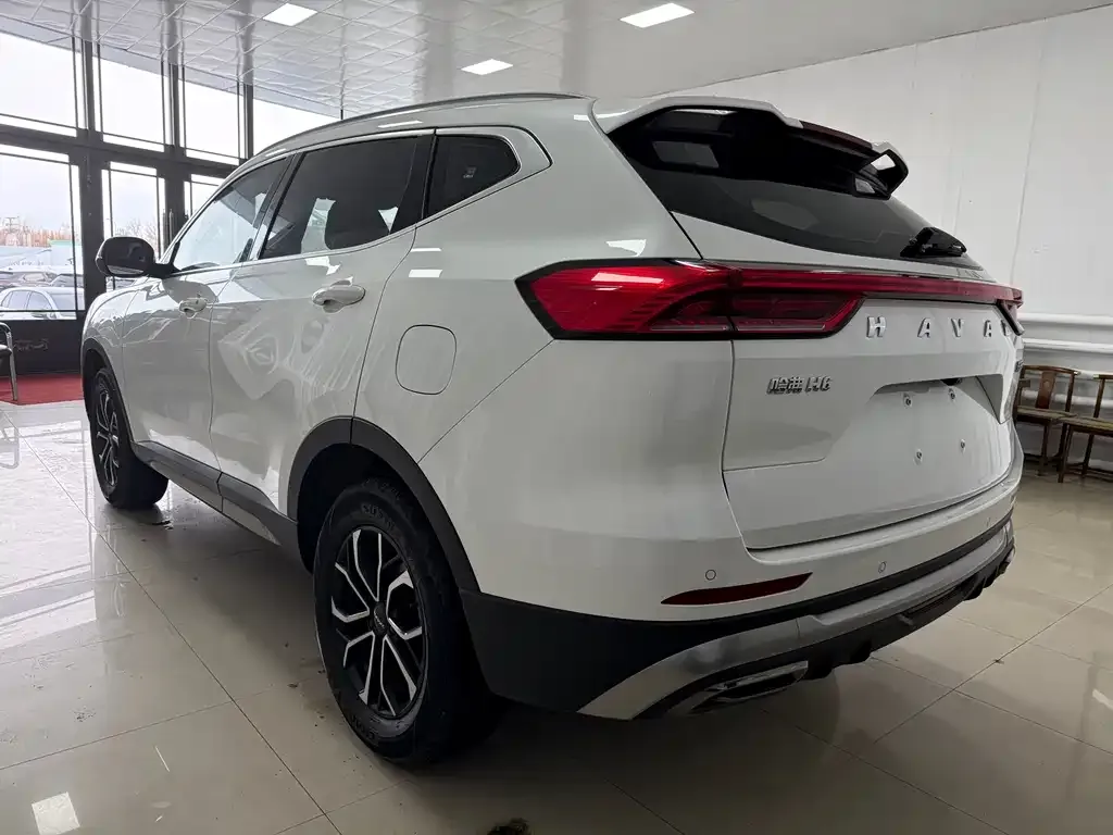 Haval H6 2023 из CN, фото 10