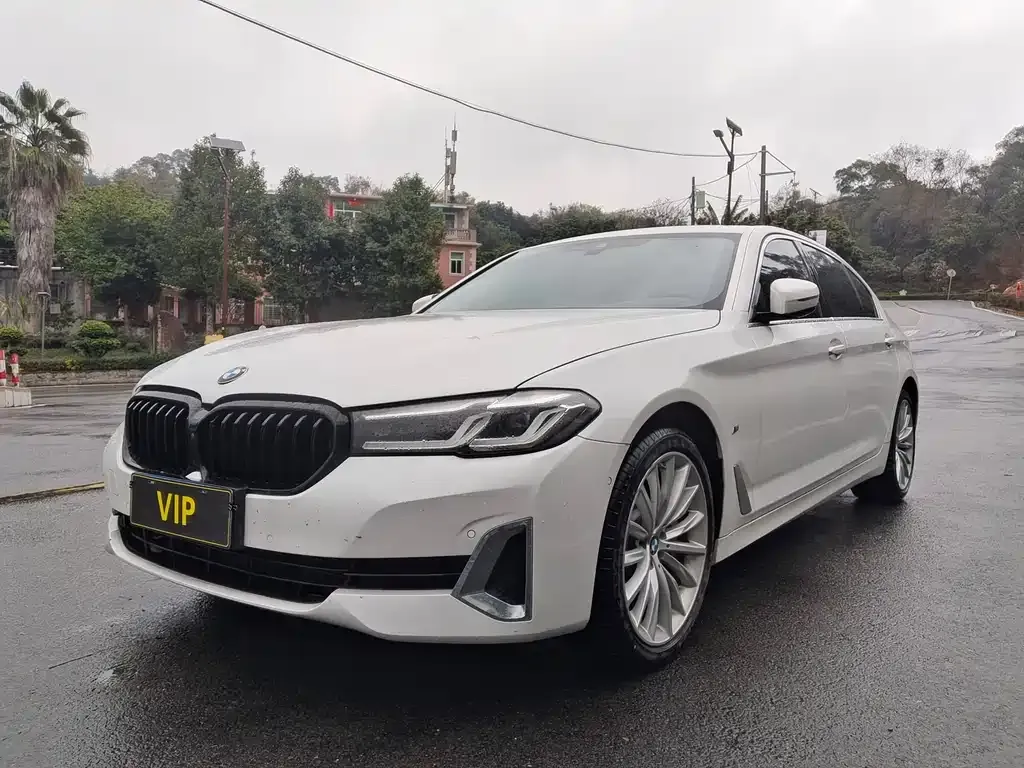 BMW 5 Series 2021 из CN, фото 1