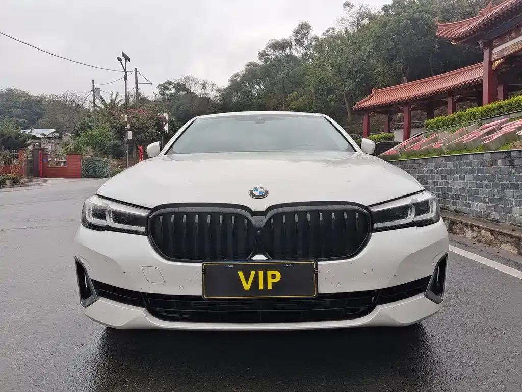 BMW 5 Series 2021 из CN, фото 6