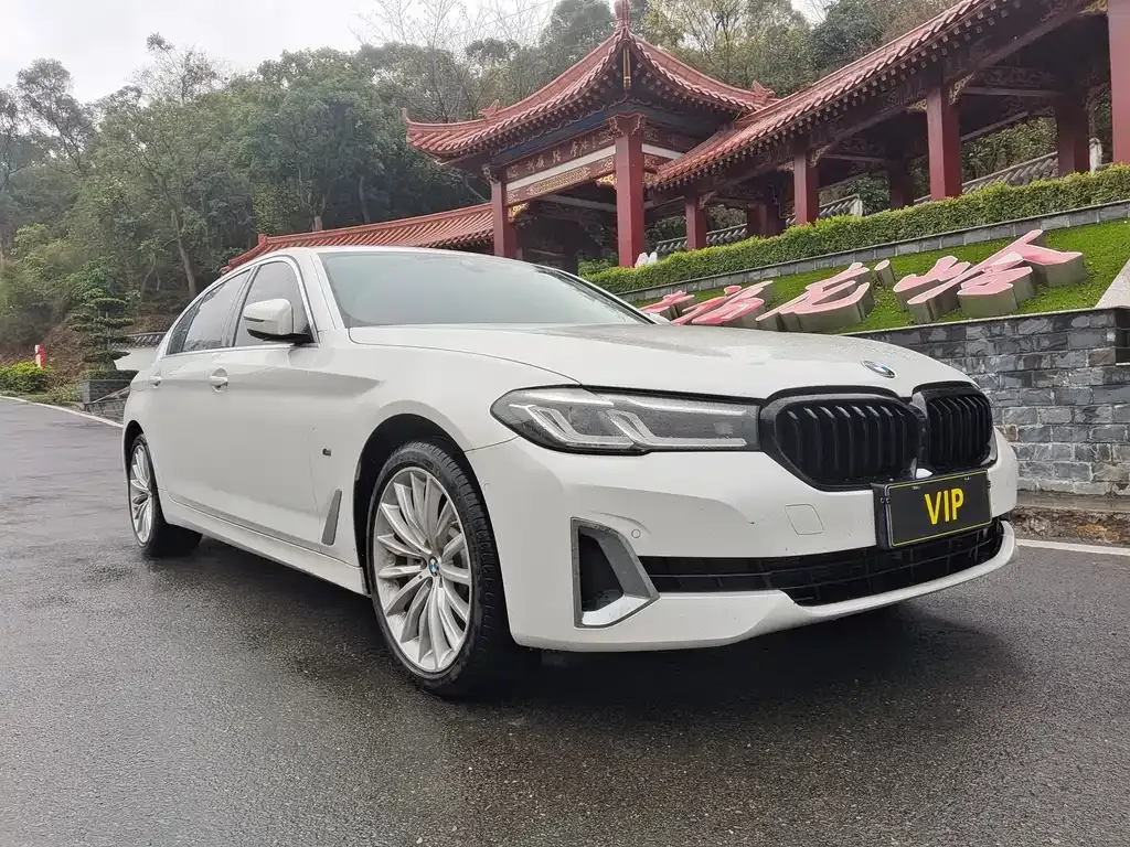 BMW 5 Series 2021 из CN, фото 9