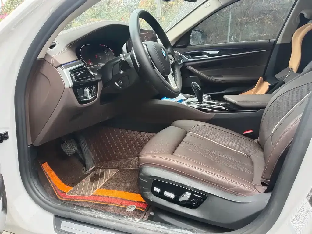 BMW 5 Series 2021 из CN, фото 5