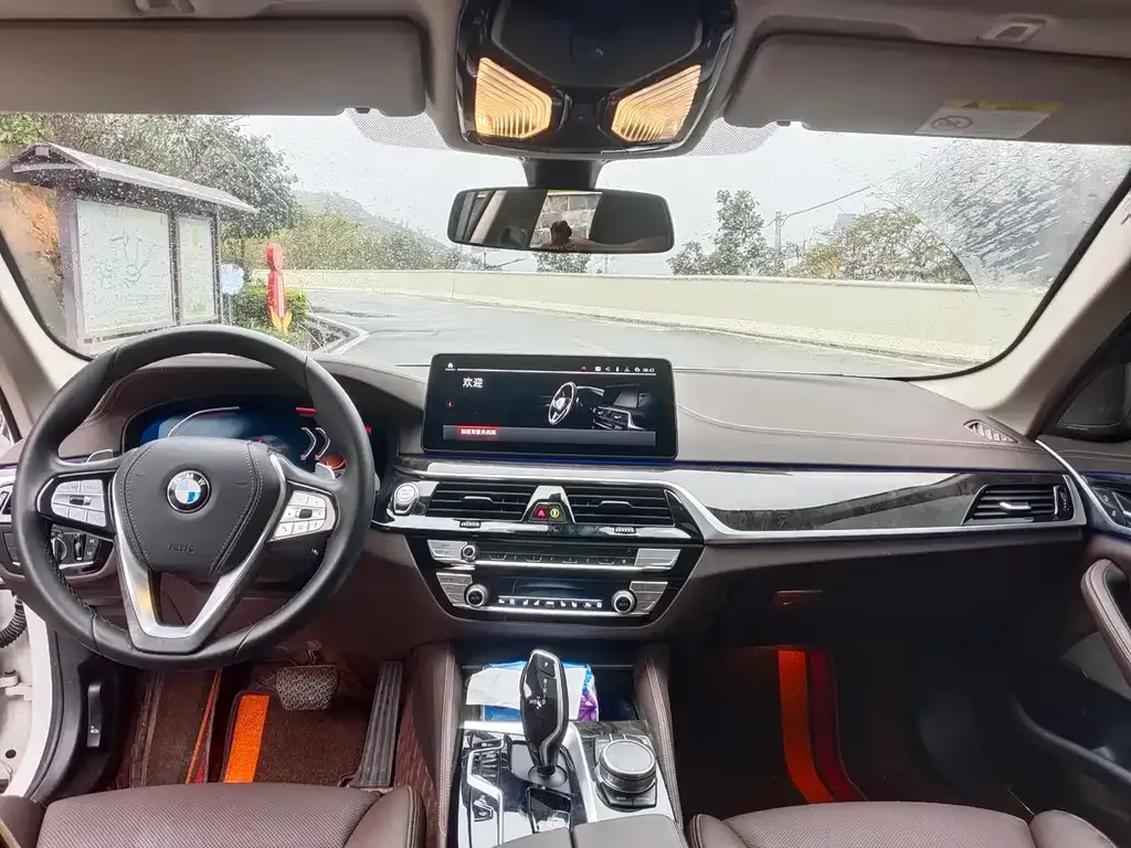 BMW 5 Series 2021 из CN, фото 4