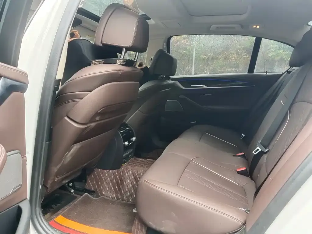 BMW 5 Series 2021 из CN, фото 2